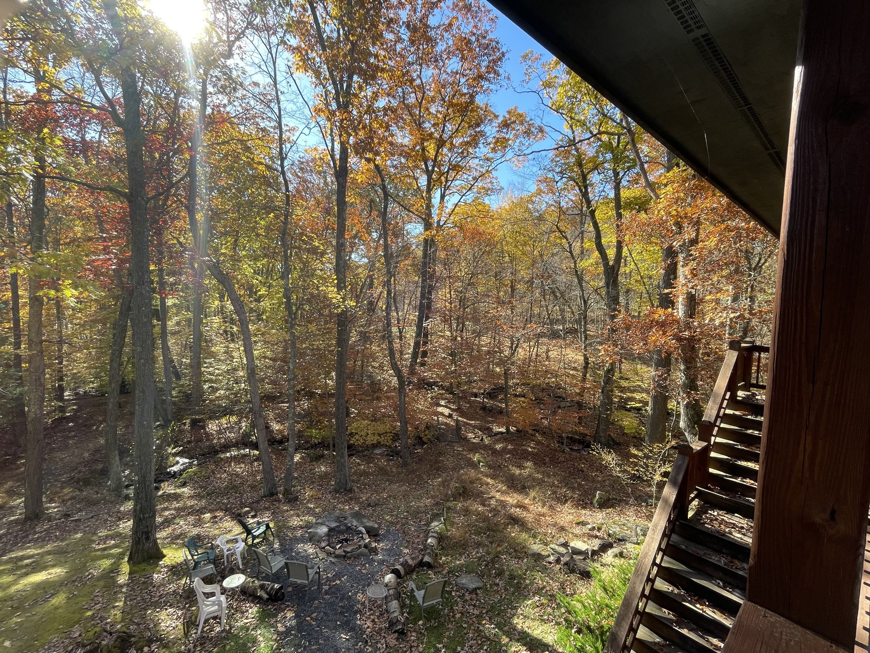 A forested area with a fire pit and outdoor seating.