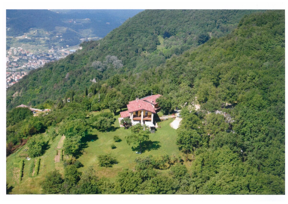 Imagen de perfil del propietario o de la propietaria