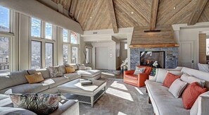 Télévision, cheminée, lecteur de DVD, livres