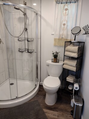 Shower, hair dryer, towels, soap