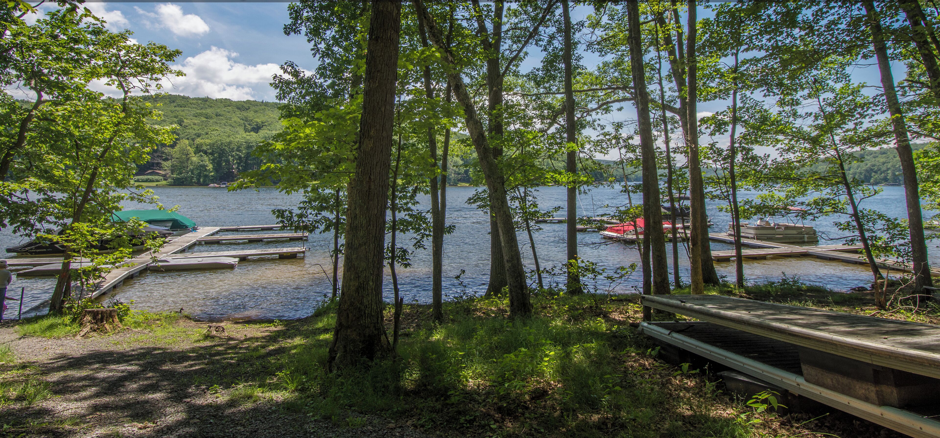 Une vue sur le lac, avec des bateaux amarrés, un banc en bois et une zone boisée.
