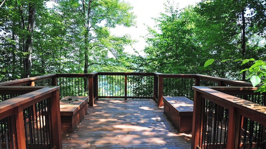 Tao House at Serenity Woods