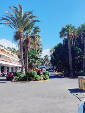 Une rue bordée de palmiers, un immeuble à la façade blanche et des voitures garées.