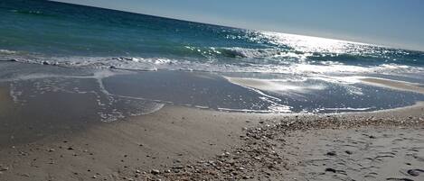 On the beach