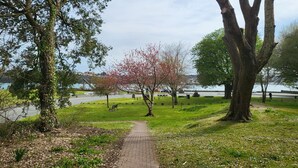 A park with a paved walkway, trees, and a body of water in the background. - Marina Reach, Neyland, Pembrokeshire: Sea views (Neyland)