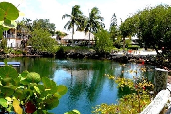Our beautiful Lagoon, safe for swimming.