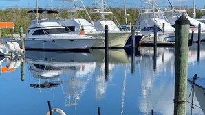 Marina com barcos atracados e três bebidas sobre uma mesa, com vista para a marina.