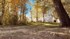 Un terrain de camping avec une grande tente, entouré d’arbres aux feuilles jaunes, et un sentier de terre menant à la tente.