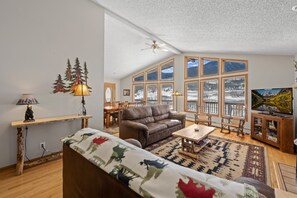 Smart TV, fireplace, DVD player, books