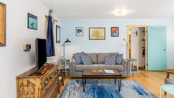 Smart TV, lettore DVD, libri, videoteca