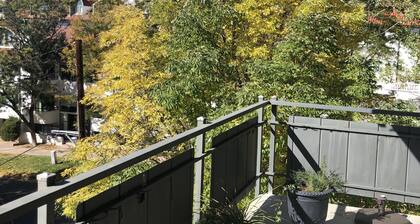 Cozy Remodeled 2X2 Condo in the Heart of Denver!