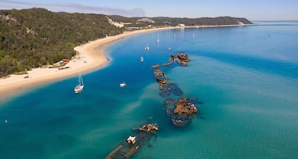The Beachaus - Spacious Beachfront Holiday Home