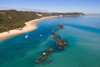 The Beachaus - Spacious Beachfront Holiday Home