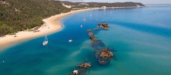 The Beachaus - Spacious Beachfront Holiday Home