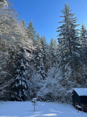 Een besneeuwd bos met een klein huisje.
