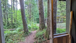 Metsäinen polku johtaa puiseen rakennukseen, jossa on ikkuna.