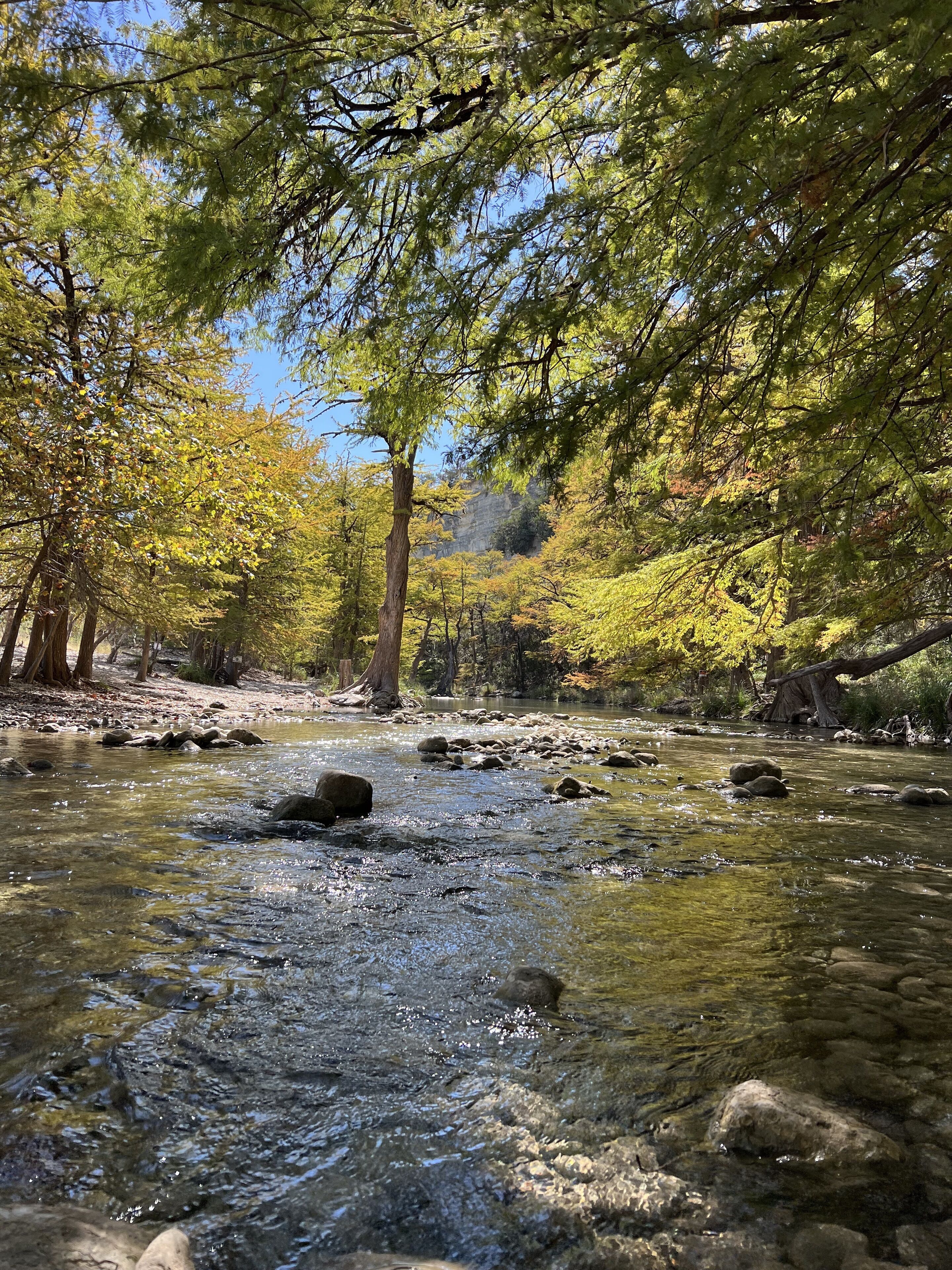 A clear stream with rocks, surrounded by trees with autumn foliage.