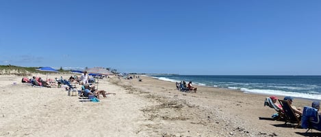 Nära stranden, solstolar och strandhanddukar