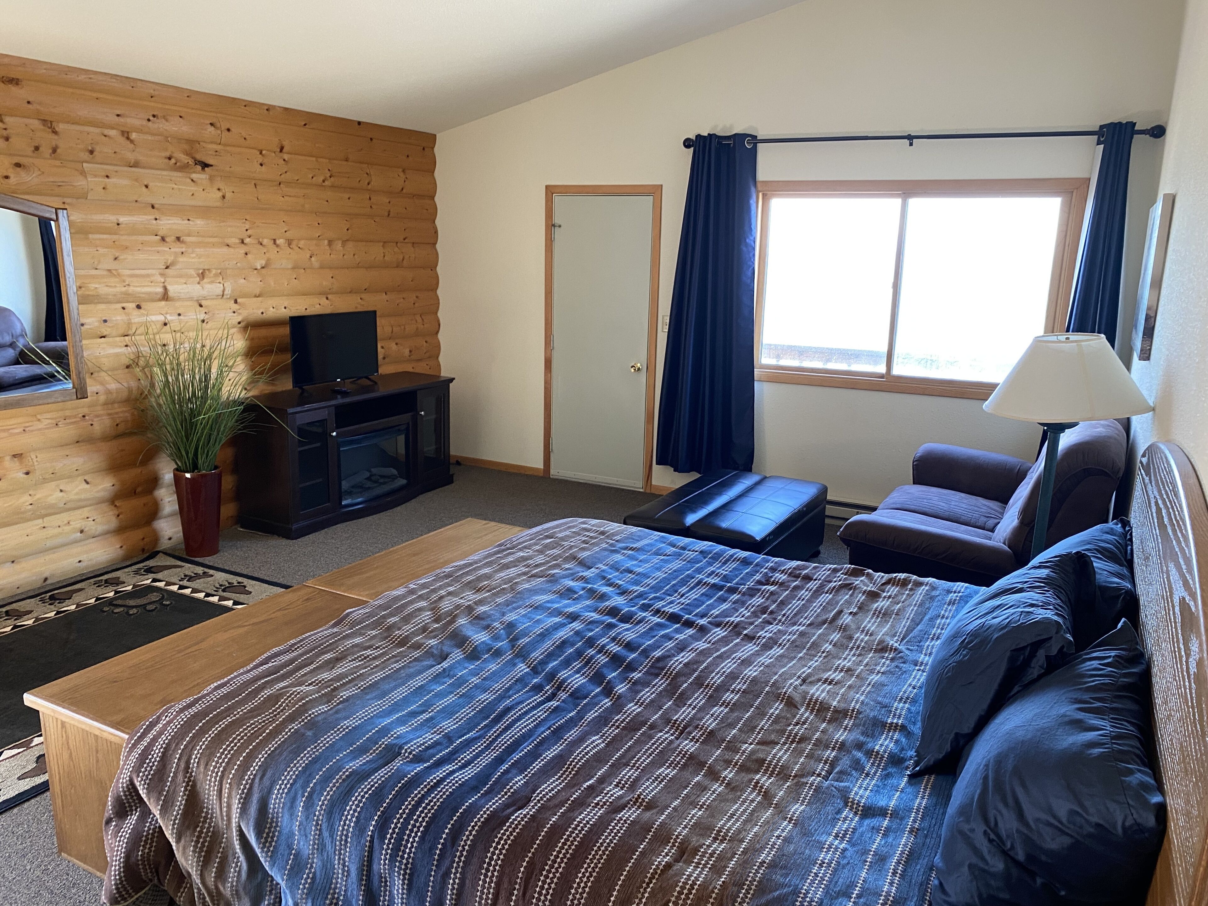 Una habitación con una cama grande, un televisor sobre un mueble de madera, una planta en maceta y una ventana con cortinas.