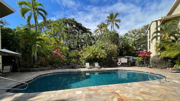 A swimming pool with a stone deck, surrounded by lush tropical vegetation and palm trees.