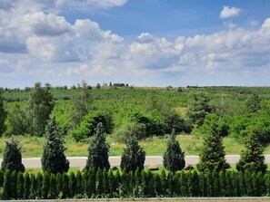 Imagem sem classificação, 5 de 42, botão