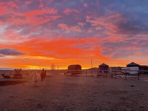 Beach - Silo Llamaste (Powell)