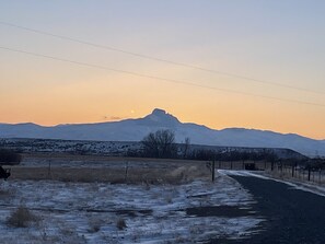 Miscellaneous - Silo Llamaste (Powell)