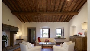 Amplia sala de estar con techo de madera alto, dos ventanas, un sofá, una mesa de centro y una chimenea.