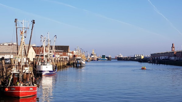 Jachthaven