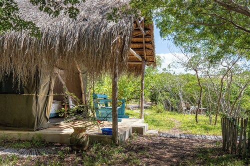 Quiet ensuite tents in bush overlooking Bazaruto Archipelago