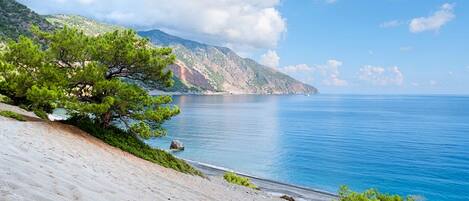 Plage à proximité, chaises longues, serviettes de plage