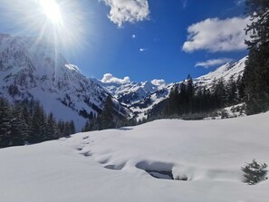 Unclassified image, 2 of 62, button