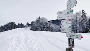 A directional signpost with multiple arrows pointing to various destinations, including distances and travel times. - Constance mountain view with winter garden (Oberstaufen)