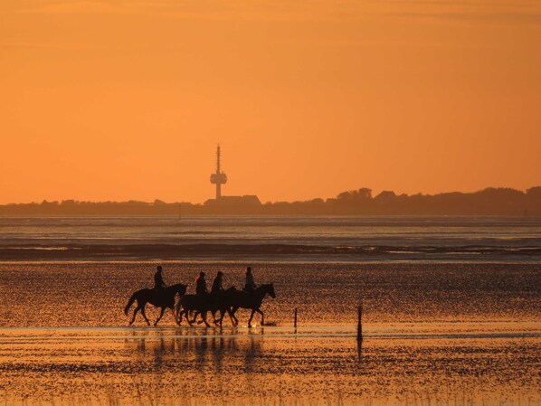 Unclassified image, 1 of 16, button