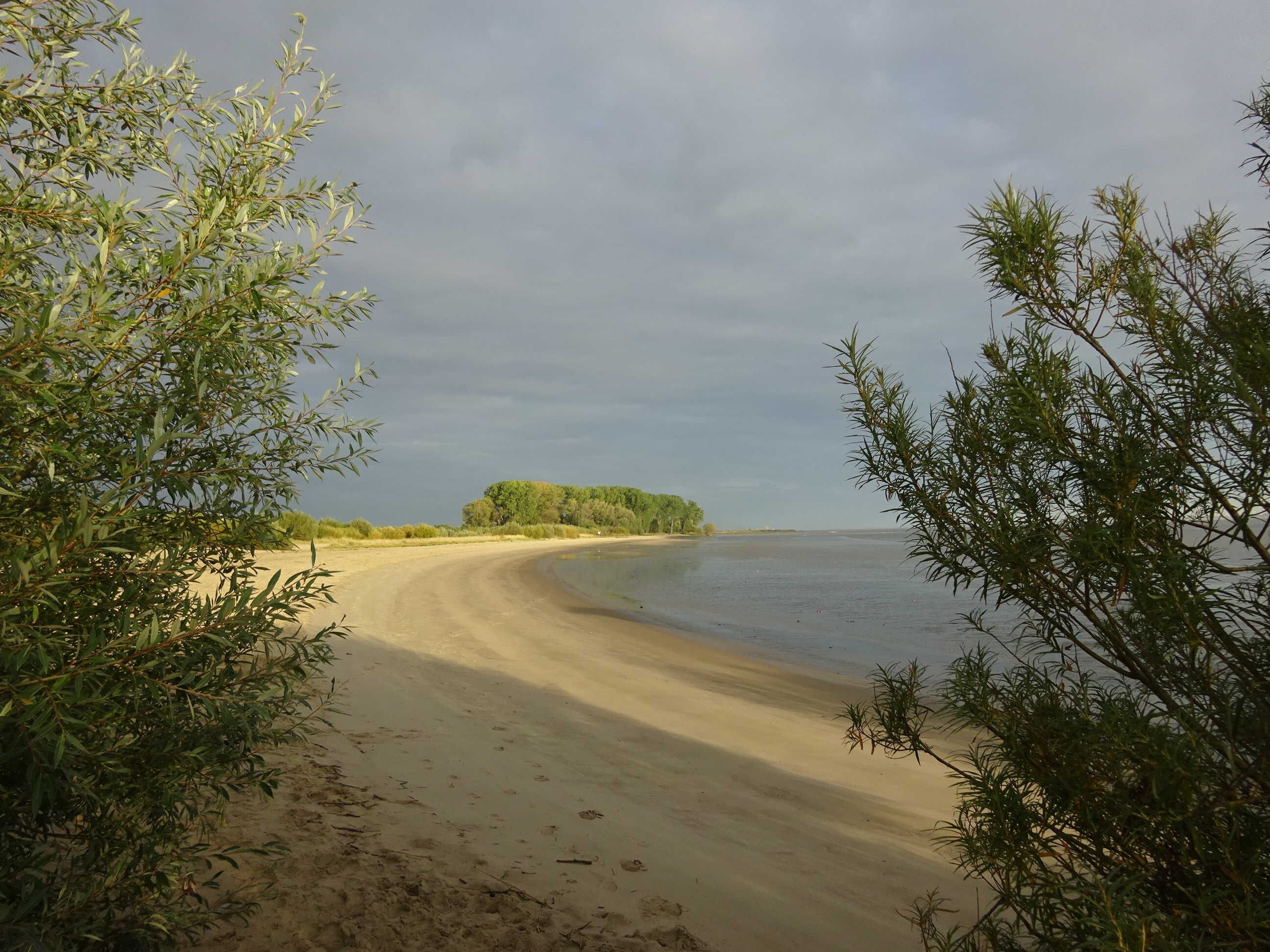 A beach with a sandy shore, surrounded by dense greenery.