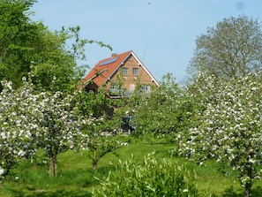 Et hus med rødt tag, omgivet af blomstrende træer og græs.
