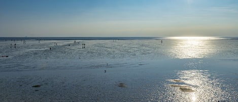 海滩
