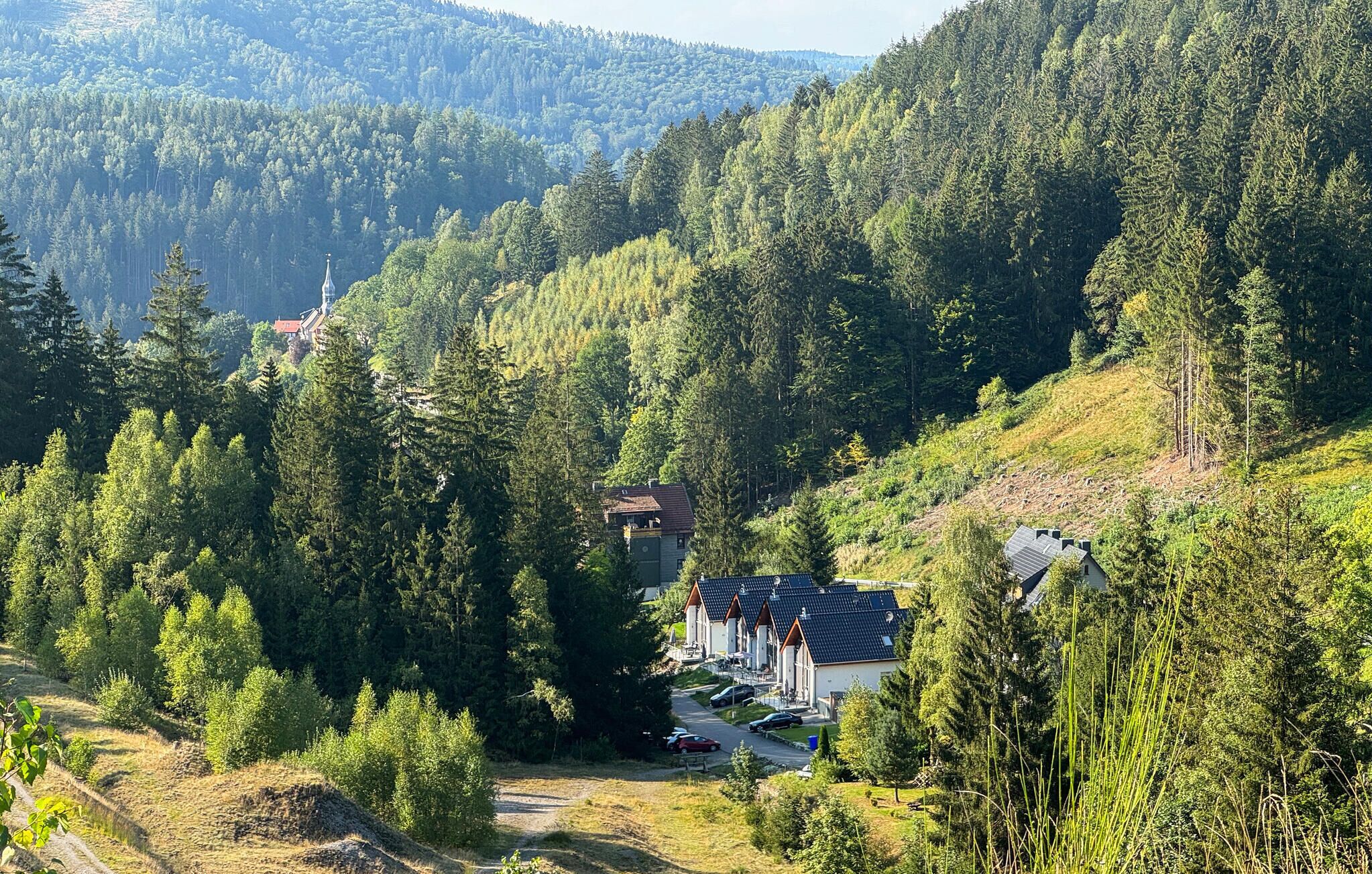 Et bjælkehjem omgivet af tæt skov, med frit udsyn over dalen nedenfor.