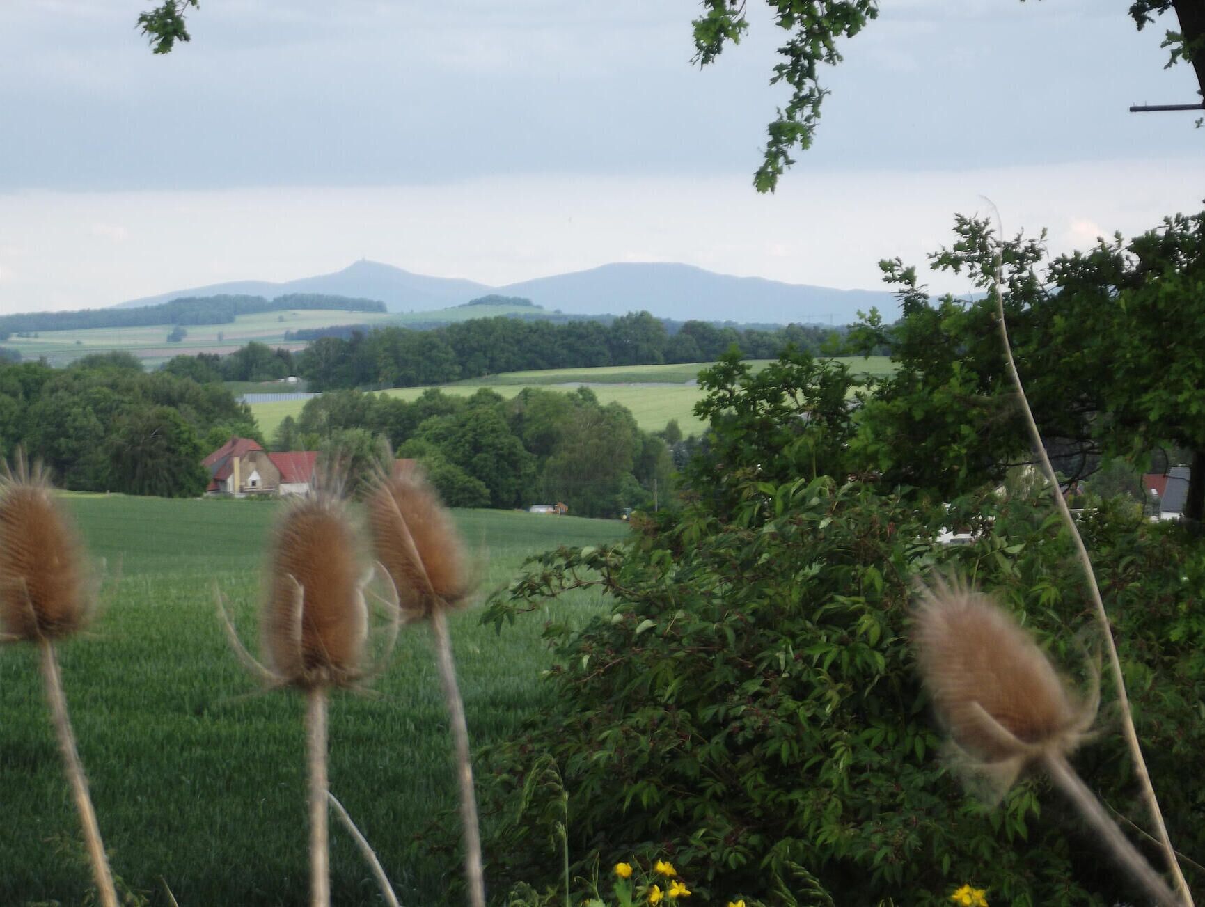 Paesaggio rurale con campi, alberi e montagne in lontananza.