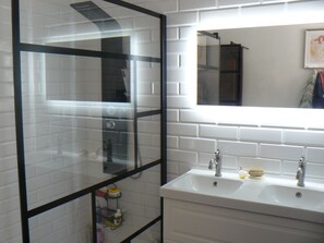 Shower, hair dryer, towels