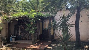 Un jardín con un porche de madera, una palmera y un camino de piedra que lleva a la entrada de un edificio.
