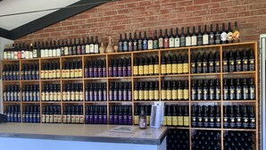 A wine cellar with multiple wooden shelves filled with wine bottles.