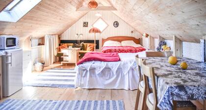 Pet friendly apartment in Johannishus