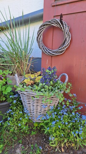 Ruhig gelegenes Ferienhaus mit großem Außenbereich