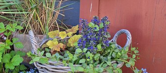 Quietly located vacation home with large outdoor area