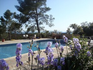 Alberca al aire libre 