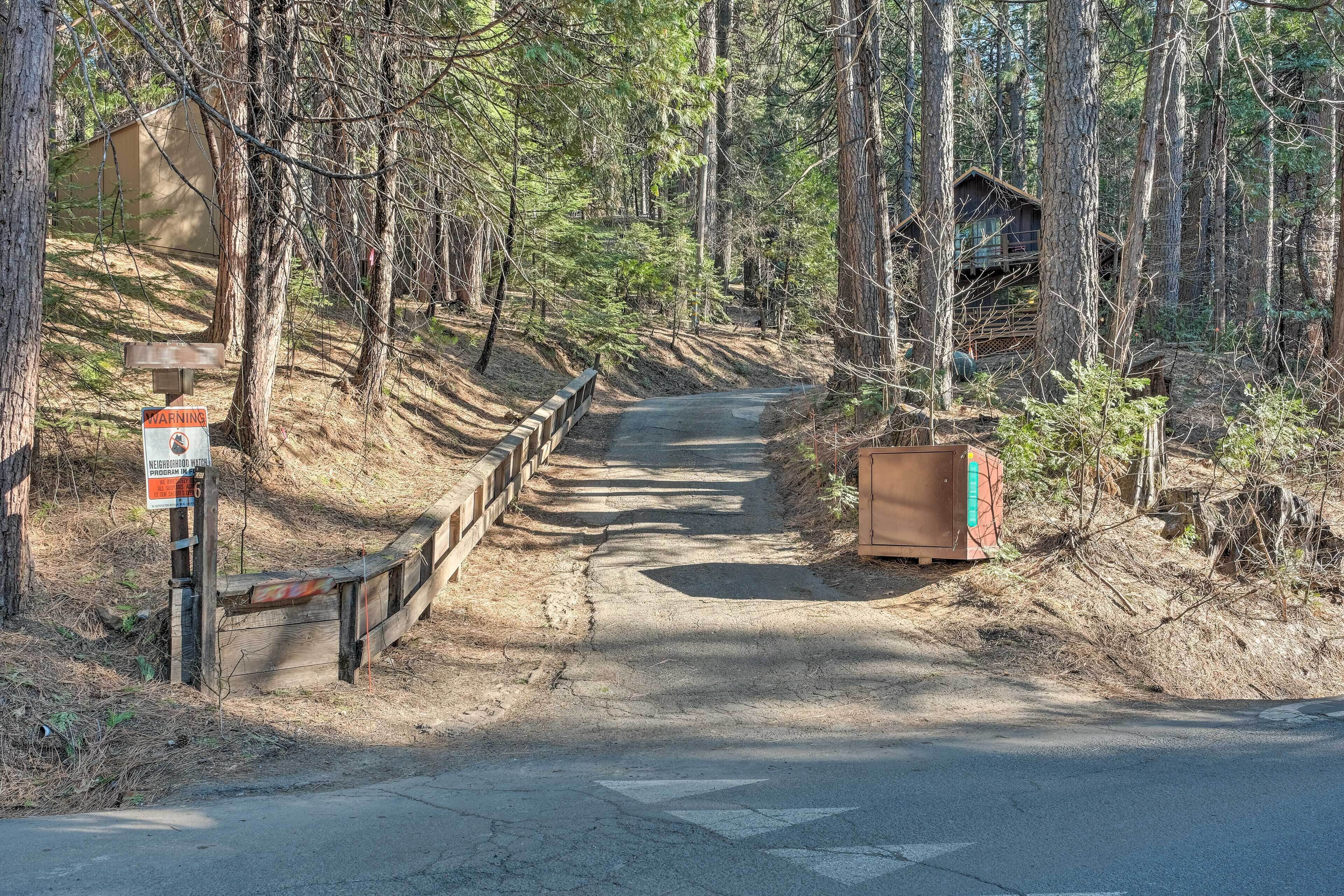 Ein bewaldetes Gebiet mit einer unbefestigten Straße, die zu einer Holzhütte führt.