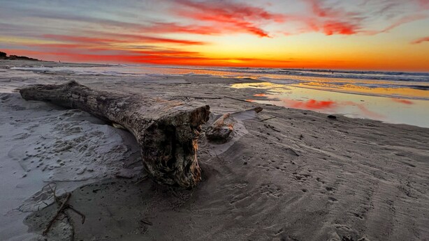 A large fallen tree trunk on a sandy beach with a sunset in the background.