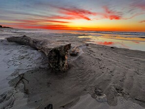 A large fallen tree trunk on a sandy beach with a sunset in the background. - Beautifully decorated, walk to the beach, Sleeps 8, pet friendly, bikes included (Hilton Head Island)