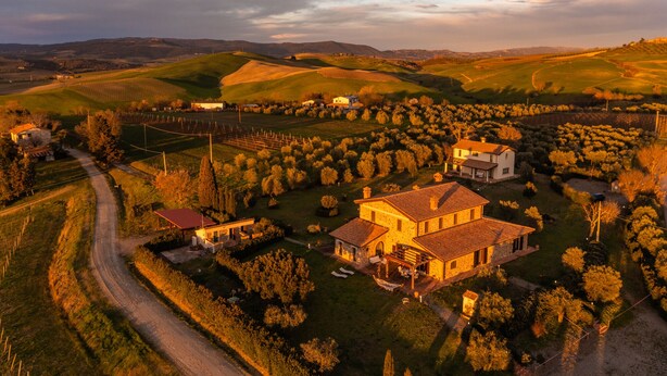 An aerial view of a rural landscape with rolling hills, a vineyard, and a few scattered buildings. - Ribusieri Country House (Cinigiano)
